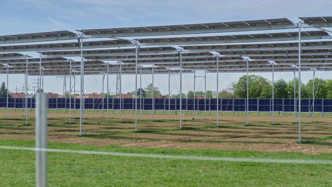 Horizontale Agri-Photovoltaik Anlage